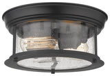 2 Light Flush Mount