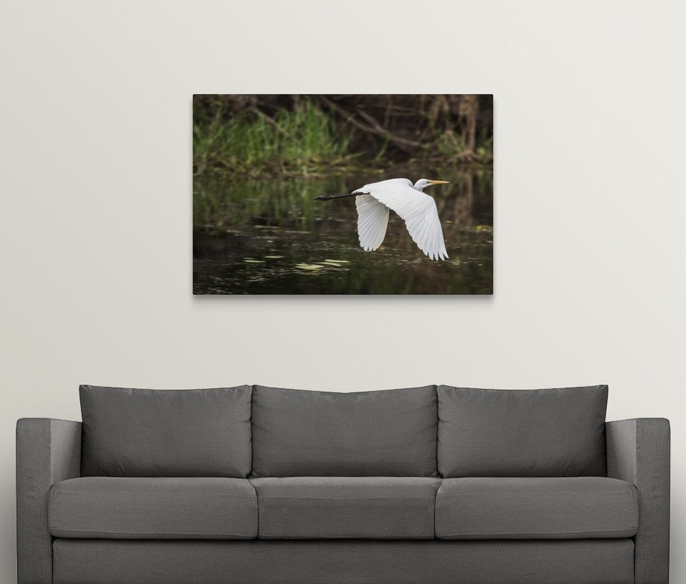 "Great White Egret" Wrapped Canvas Art Print, 48"x32"x1.5"