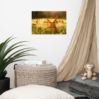 Fall Leaf in Morning Sun - Autumn Nature Photograph Unframed Wall Art Print, 12" X 18"
