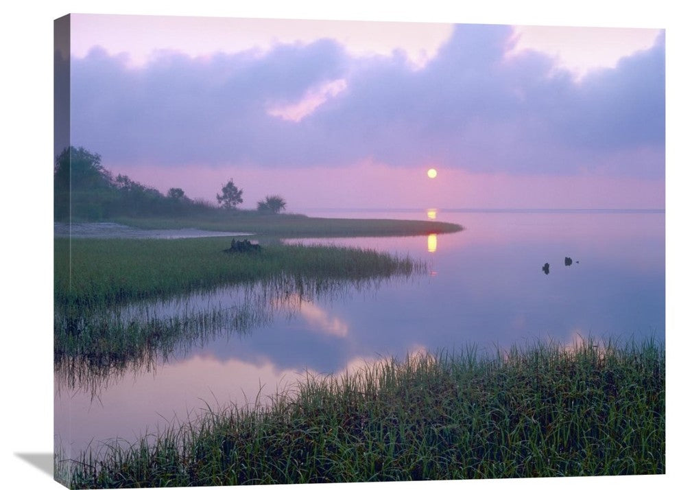 "Marsh At Sunrise Over Eagle Bay, St Joseph Peninsula, Florida" Artwork