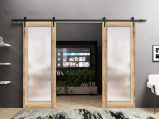 Double Barn Door 64 x 96 | Planum 2102 Oak | 13FT