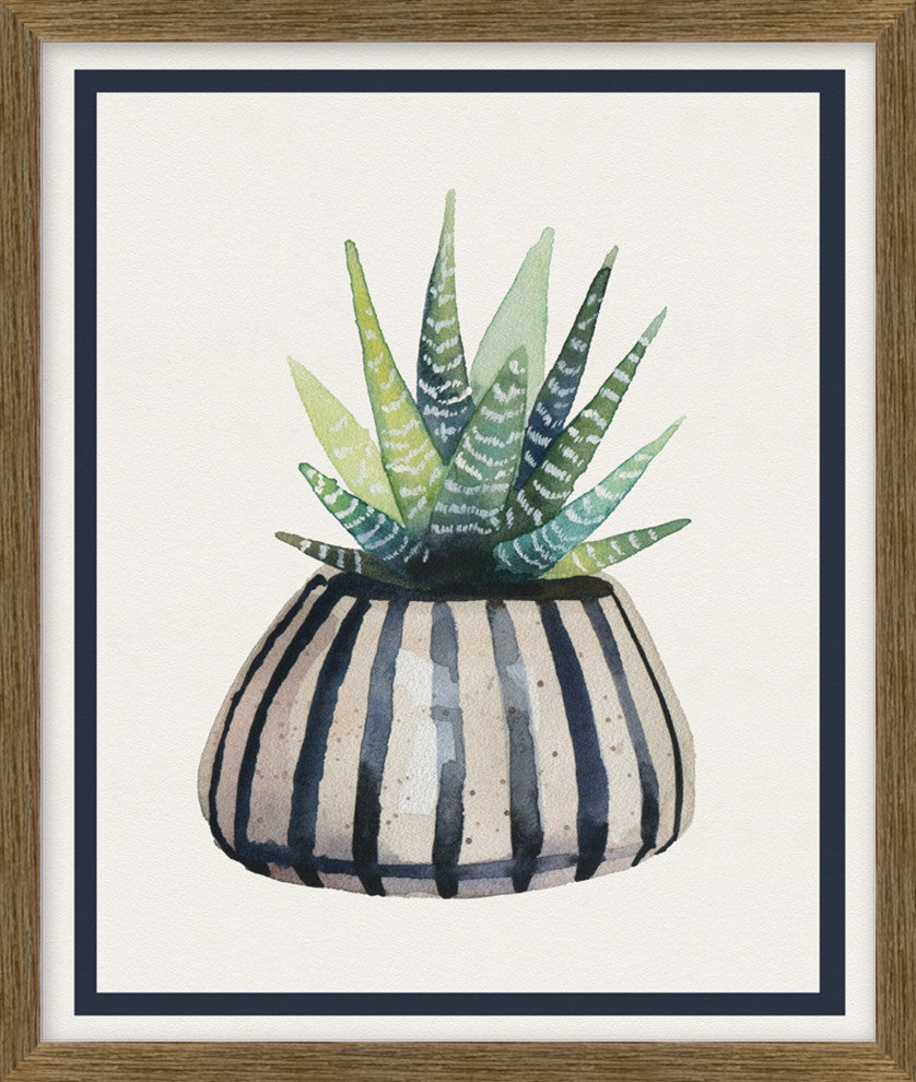 Potted Succulent 2, Giclee Reproduction Artwork
