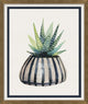 Potted Succulent 2, Giclee Reproduction Artwork