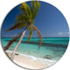 Palm Bent To Picturesque Seashore, Modern Seascape Round Wall Art, 11"