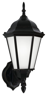 Bakersville 1-Light Outdoor Wall Lantern, Black