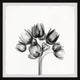 "Tulip Bundle" Framed Painting Print, 24x24