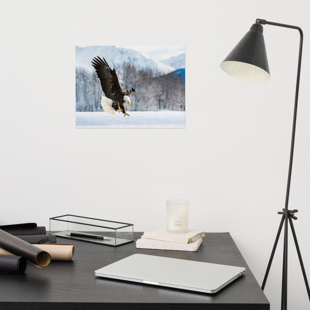 Adult Bald Eagle Alaskan Winter Animal Wildlife Photograph Loose Wall Art Print, 12" X 16"