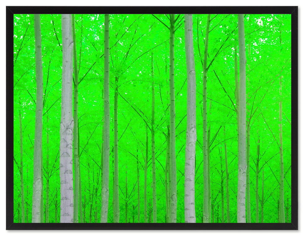 Autumn Tree Green Landscape Photo Print on Canvas with Picture Frame, 22"x29"