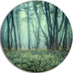 Trail Through Foggy Forest, Landscape Photo Round Wall Art, 11"