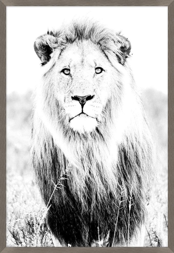 Wild Calling 1, Giclee Reproduction Artwork