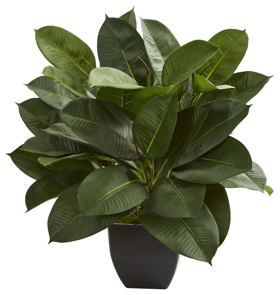 Oak Ficus Artificial Plant