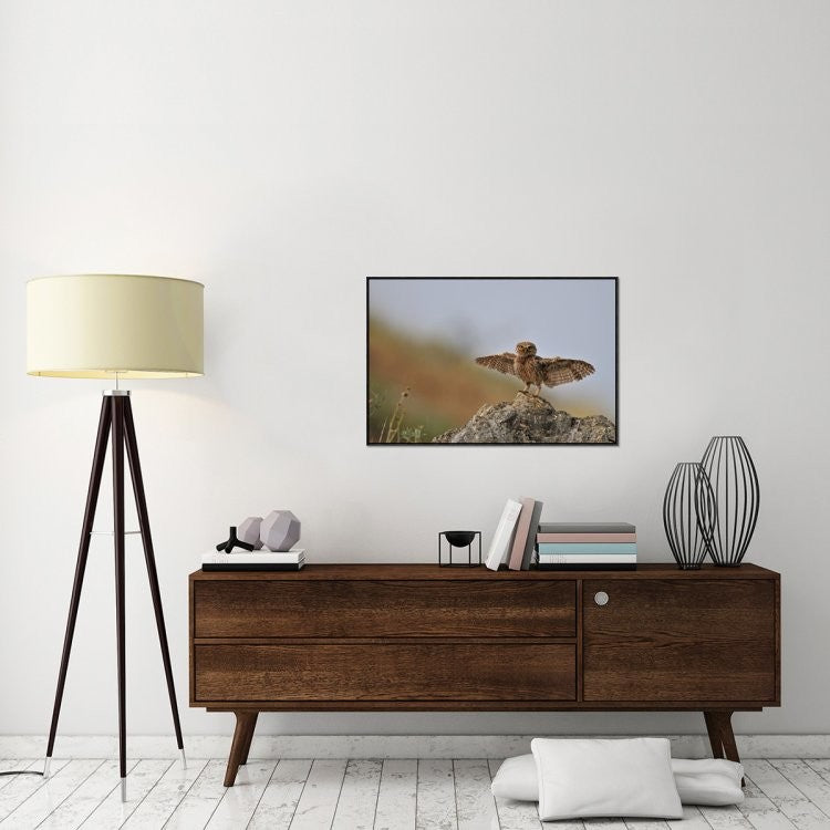 "I Can Fly!!!!!!" Framed Canvas Giclee by Muayad Amer, 37x25"