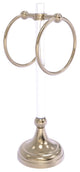 Pacific Grove 2 Ring Vanity Towel Ring with Dotted Accents, Antique Pewter