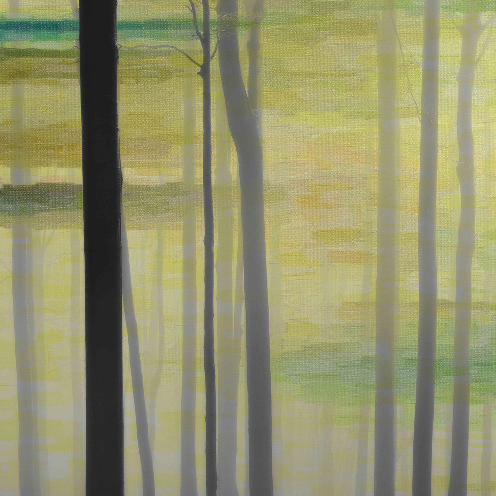 "Olive Trees" Painting Print on Wrapped Canvas, 32"x32"
