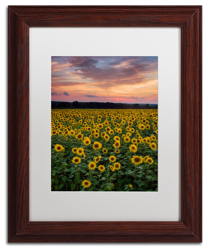 Blanchette Photography 'Sunflowers', Wood Frame, White Matte, 11"x14"