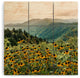 Nature Magick Smoky Mountains National Park Wood Wall Mural