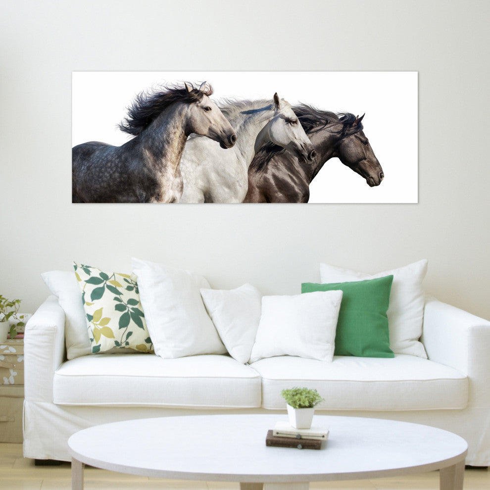 Horse Glass Wall Art Frameless Free Floating Tempered Glass Print, 24" x 63"