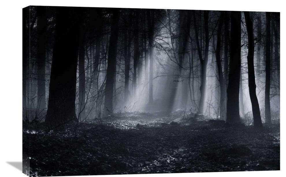 "Capela Forest" Stretched Canvas Giclee by Julien Oncete, 30"x20"