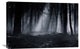 "Capela Forest" Stretched Canvas Giclee by Julien Oncete, 30"x20"