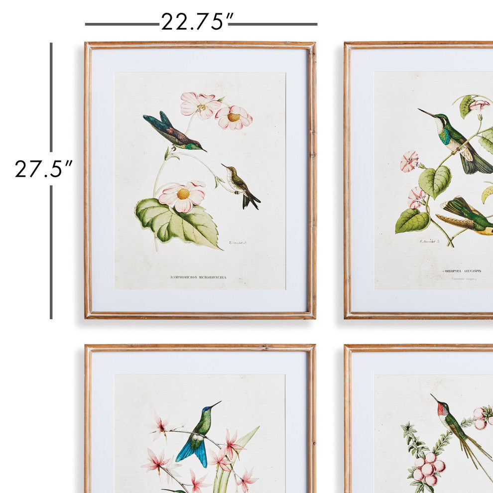 Hummingbirds With Blush Blooms Gallery, Set of 4