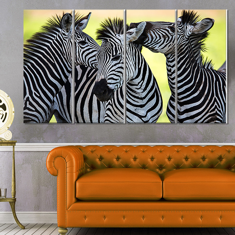 Zebras Socializing and Kissing, African Canvas Art Print, 48"x28", 4 Panels