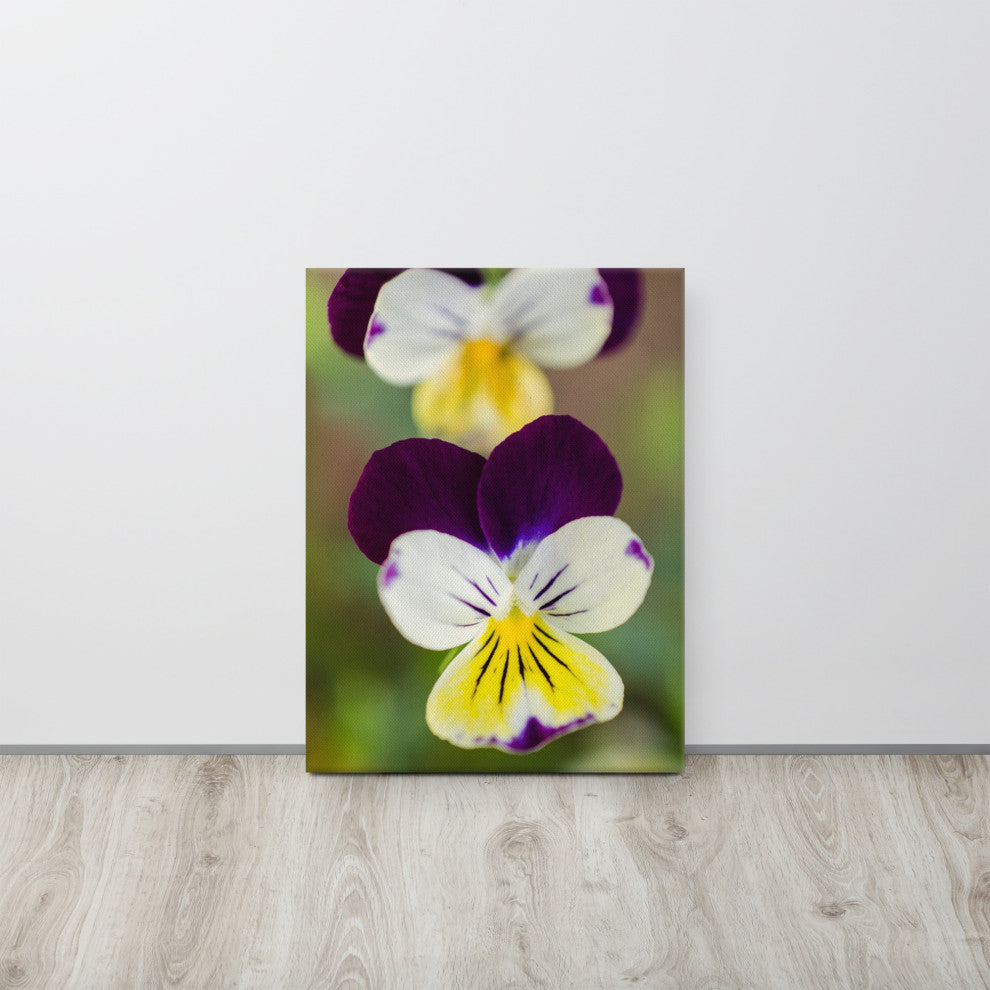 Pretty Little Violets Floral Nature Photography Canvas Wall Art Print, 18" X 24"