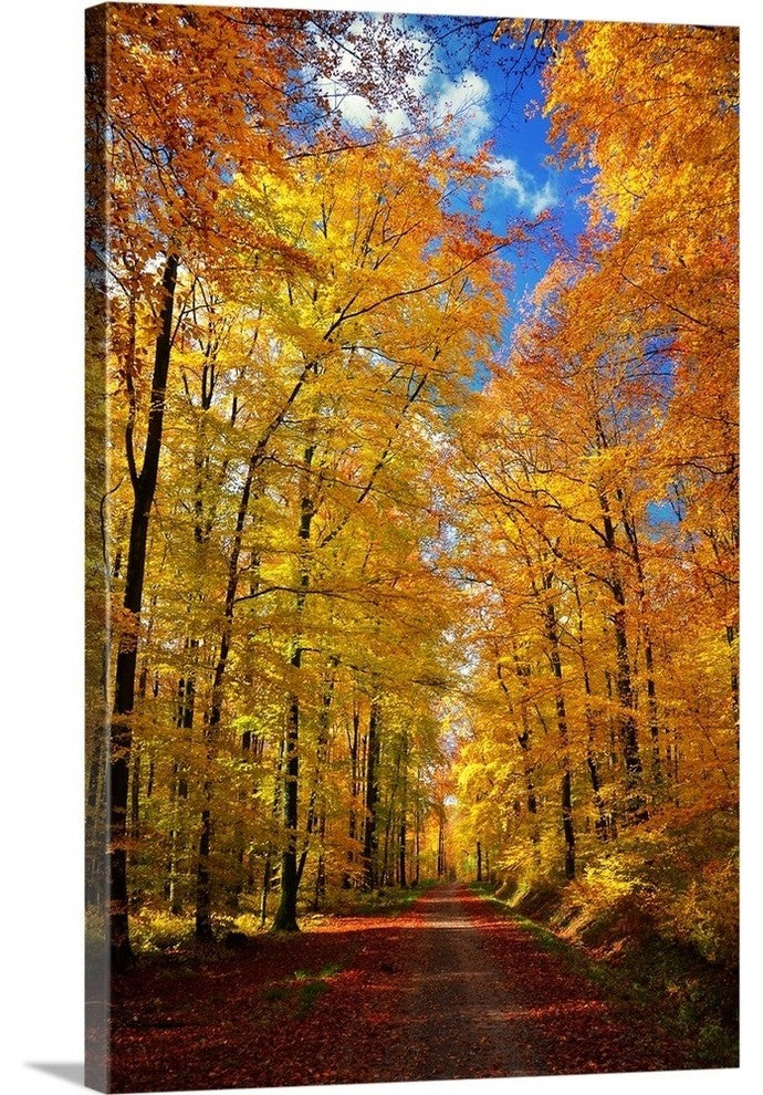 "Way To Fall" Wrapped Canvas Art Print, 32"x48"x1.5"