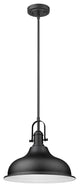 Matte Black Hanging Light with Dome Shade