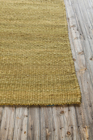 Amela Transitional Area Rug, Green, 7'9"x10'6" Rectangle