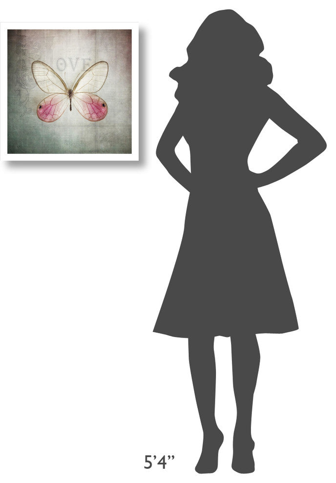 "French Butterfly I" Digital Paper Print by Debra Van Swearingen, 20"x20"
