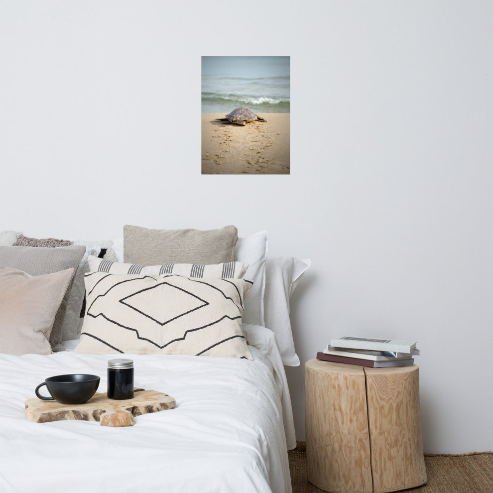 Baby Loggerhead Sea Turtle Beach Ocean Photograph Loose Wall Art Print, 18" X 24"