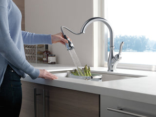 Delta Leland Single Handle Pull-Down Kitchen Faucet, Arctic Stainless