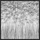 "Parallelism" Framed Canvas Giclee by Jefflin Ling, 17x17"