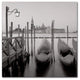 Alan Blaustein 'Venezia II' Canvas Art, 18x18
