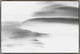 45x30 Lenticular Clouds XV, Framed Artwork, Silver