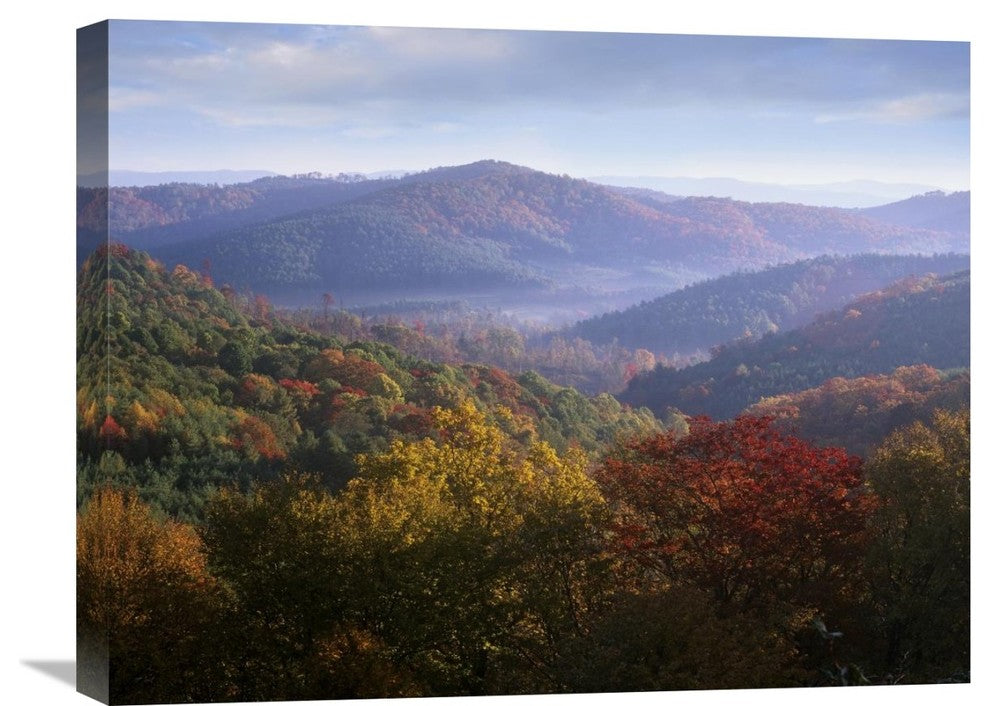 "Autumn Deciduous Forest From The Blue Ridge Parkway, North Carolina" Artwork