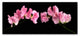 Cora Niele ''Glowing Sweet Peas'' Canvas Art