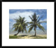 "Palm trees, Agana Beach, Guam" Framed Digital Print by Tim Fitzharris, 24x20"