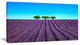 "Lavender Flowers and Uphill Green Trees" Landscape Wall Art, 32"x16"