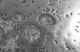 Splotch Wall Art, Silver, Square