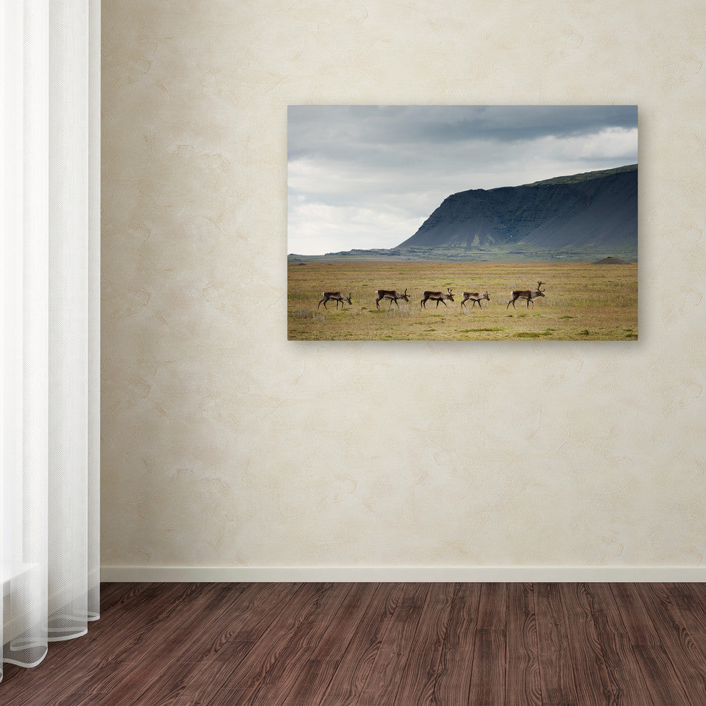 Philippe Sainte-Laudy 'Our World' Canvas Art