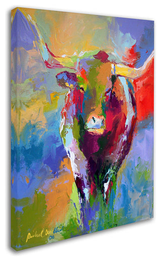 'Longhorn' Canvas Art by Richard Wallich