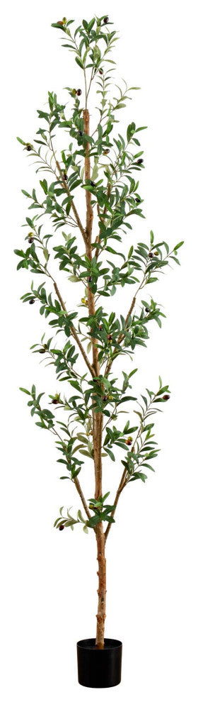Full tree on white background serving as the primary product image.