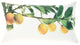 Mina Victory GT129 Throw Pillow, Yellow, 12"x 22"