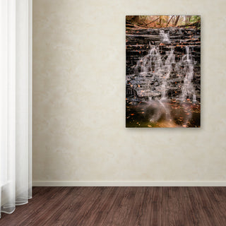 Jason Shaffer 'Hidden Falls' Canvas Art, 22x32