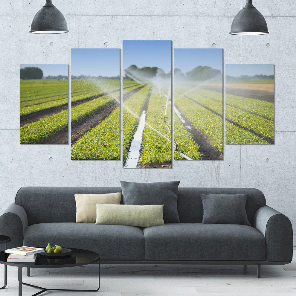 Beautiful View of Crops Watering, Landscape Canvas Art Print, 60"x32", 5 Panels