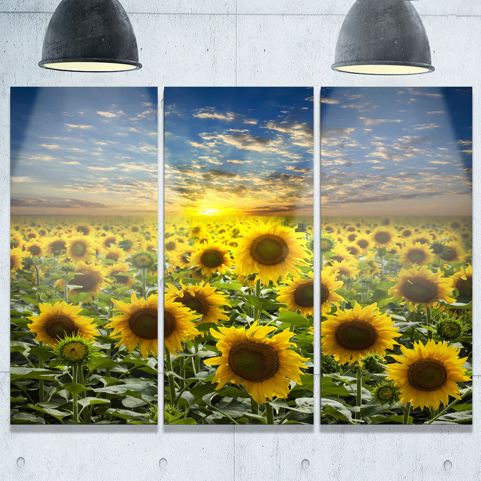 "Field of Blooming Sunflowers" Metal Wall Art, 3 Panels, 36"x28"