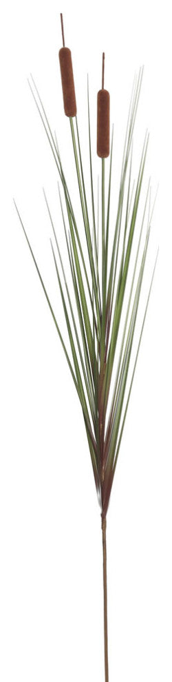 Cropped close-up of a key feature (cattails) on white background.