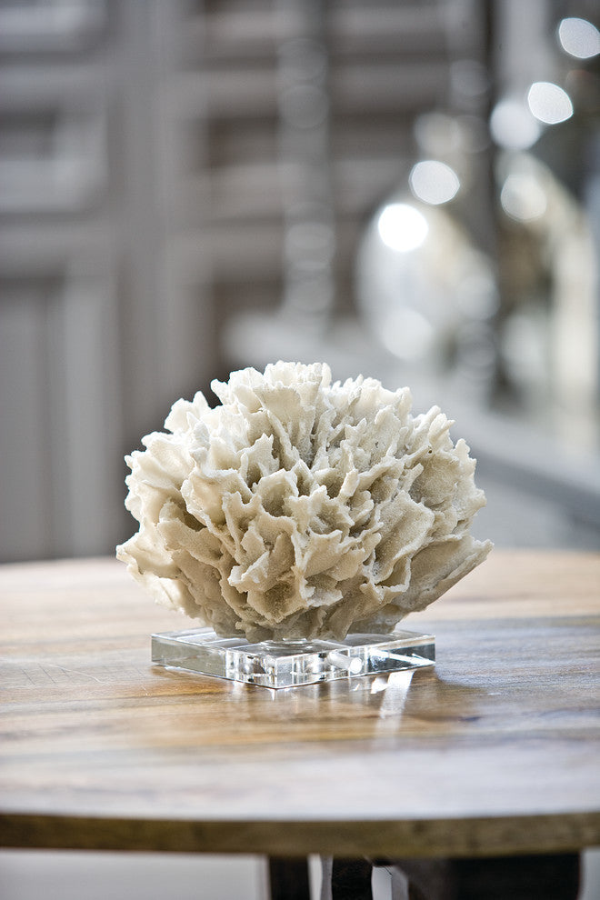 Ribbon Coral, White