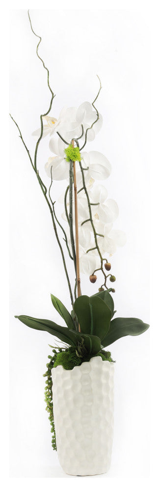 Tall Real Touch White Orchid Arrangement in White Vase